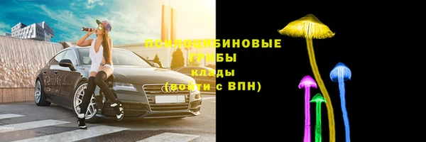 ПСИЛОЦИБИНОВЫЕ ГРИБЫ Приозерск