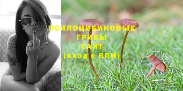 ПСИЛОЦИБИНОВЫЕ ГРИБЫ Приозерск