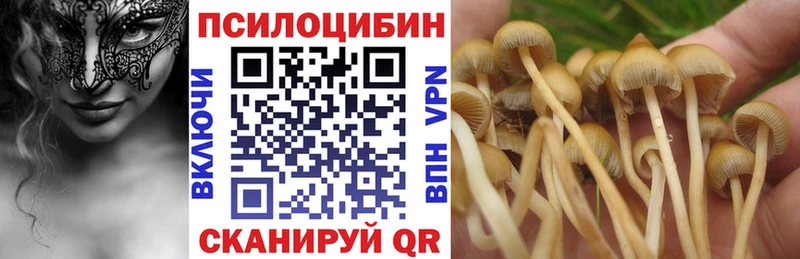 Псилоцибиновые грибы Cubensis  Бакал 